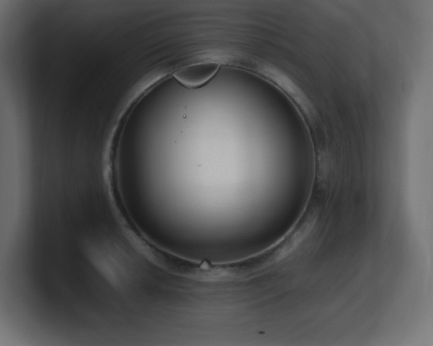 X0000100941042200806241423