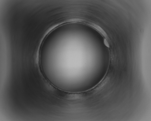 X0000100941044200806241423