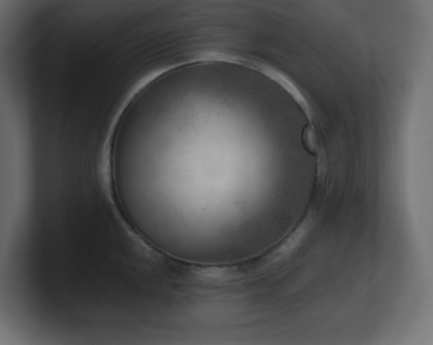X0000100941048200806241423