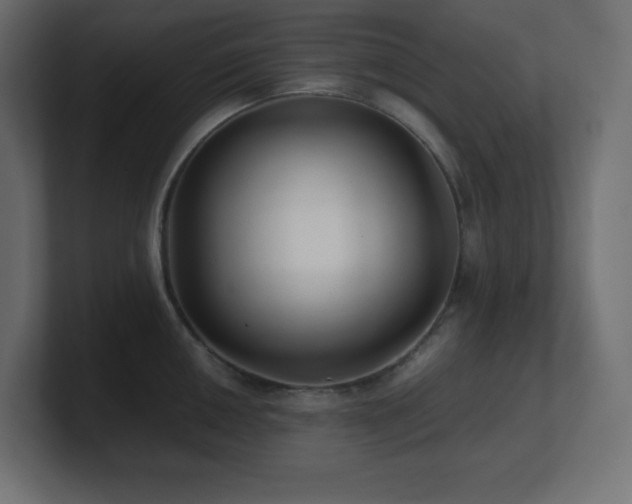 X0000100941050200806241423