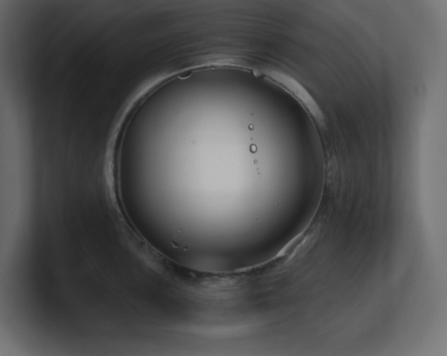 X0000100941051200806241423