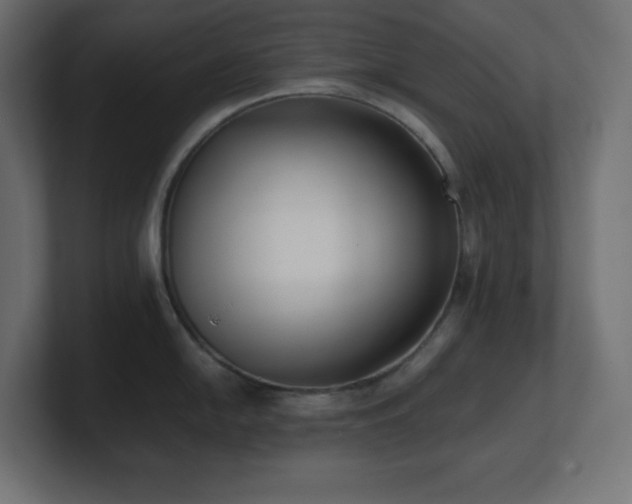 X0000100941054200806241423