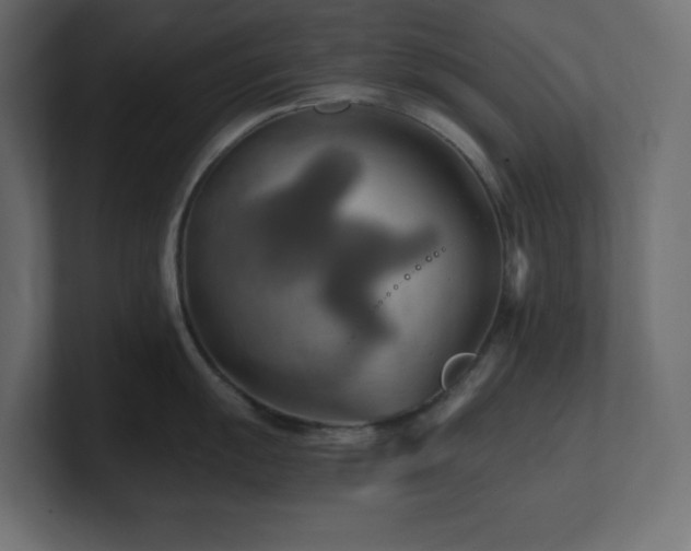 X0000100941055200806241423