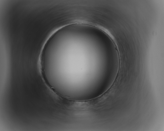 X0000100941056200806241423