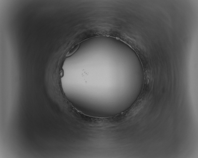X0000100941057200806241422