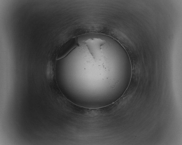X0000100941058200806241422