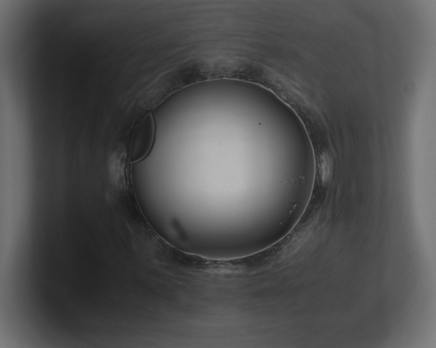 X0000100941059200806241422