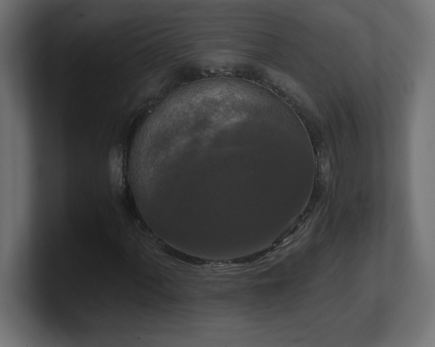 X0000100941060200806241422