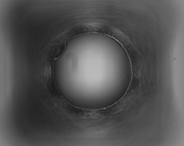 X0000100941061200806241422