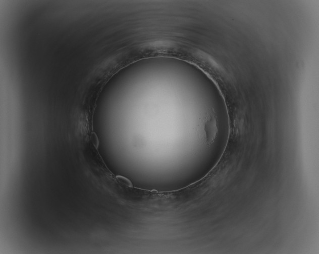 X0000100941062200806241422