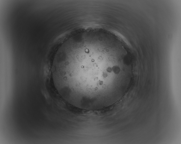 X0000100941063200806241422