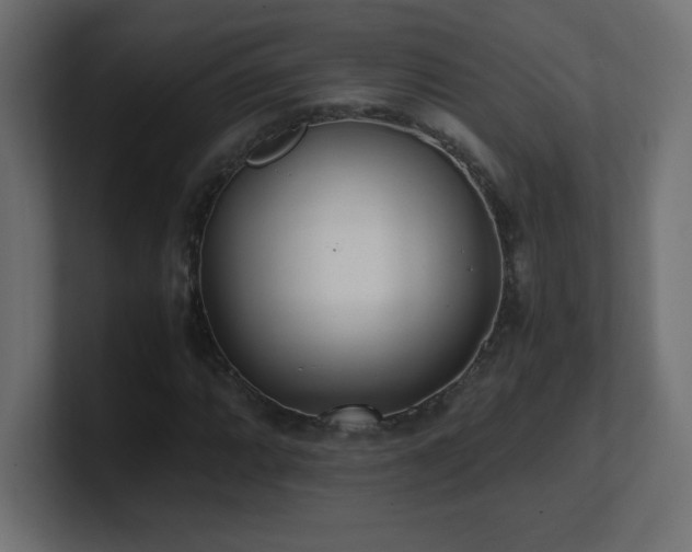 X0000100941064200806241422