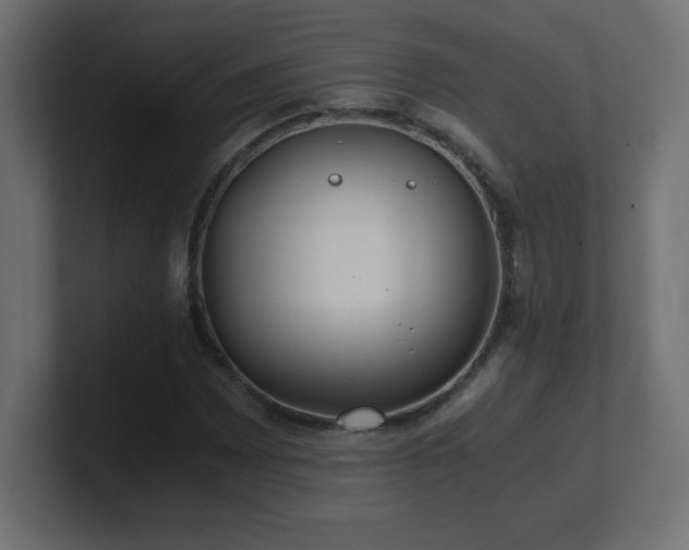X0000100941065200806241422