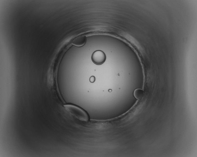 X0000100941067200806241422