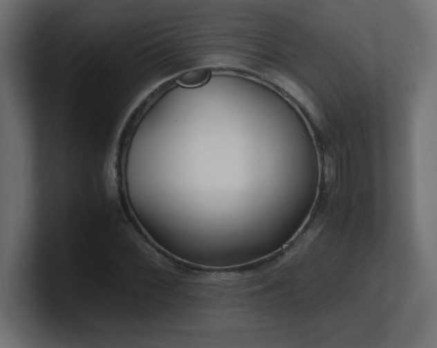 X0000100941068200806241422