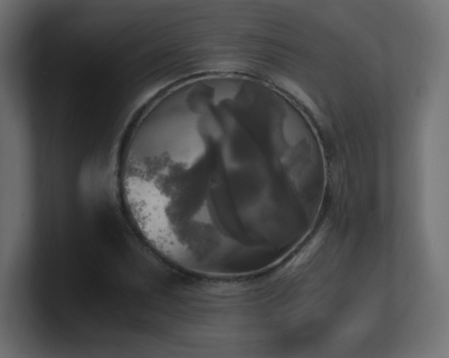 X0000100941071200806241422