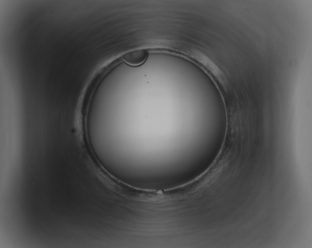 X0000100941072200806241422