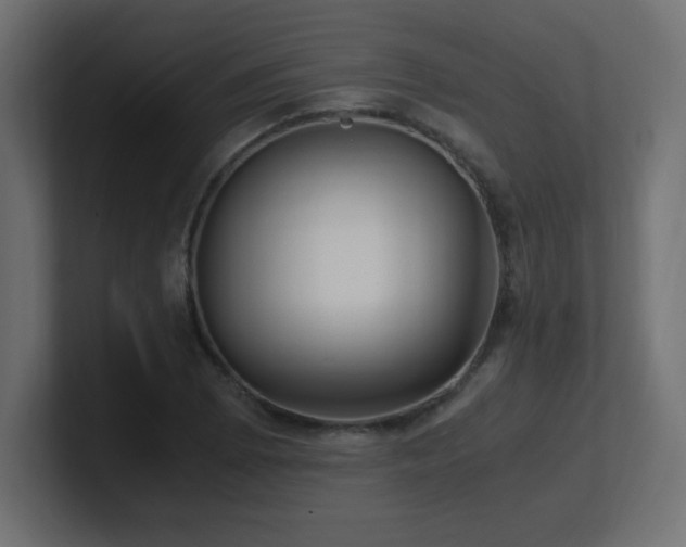 X0000100941073200806241422