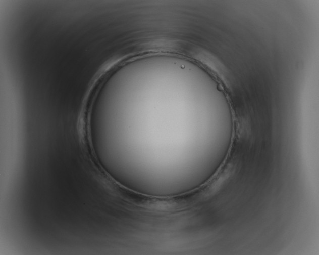 X0000100941074200806241422