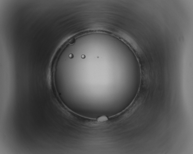 X0000100941076200806241422