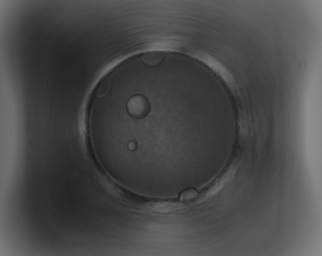 X0000100941077200806241422