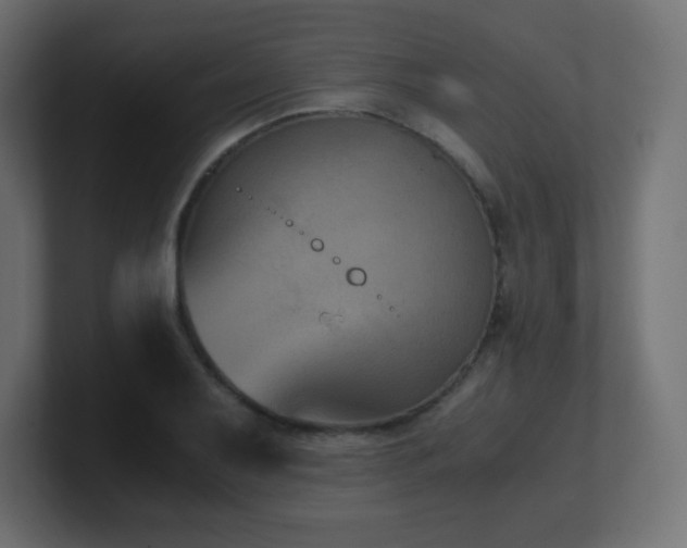 X0000100941079200806241422