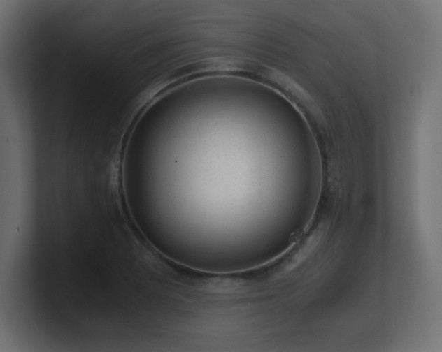 X0000100941081200806241422