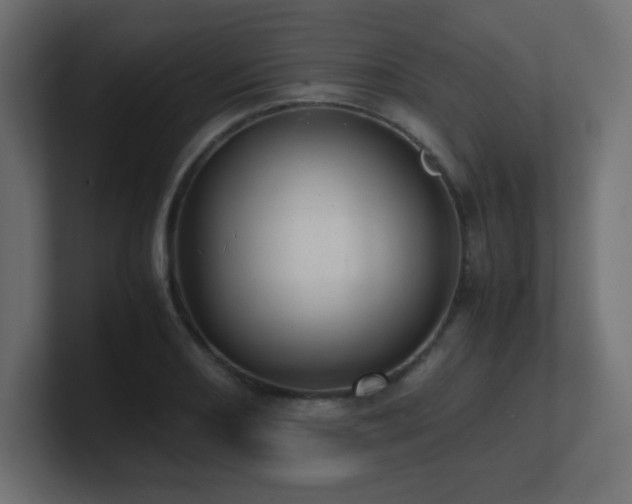 X0000100941082200806241422