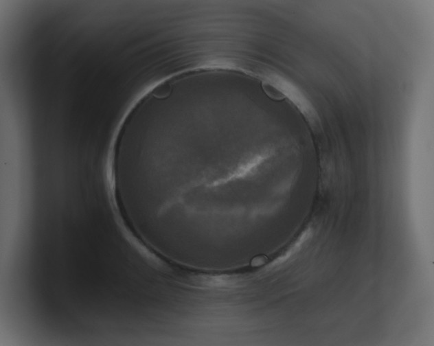 X0000100941084200806241422