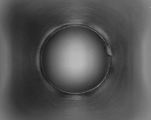 X0000100941085200806241422