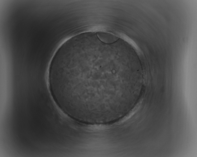 X0000100941087200806241422