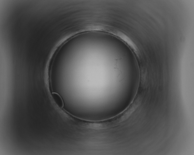 X0000100941088200806241422