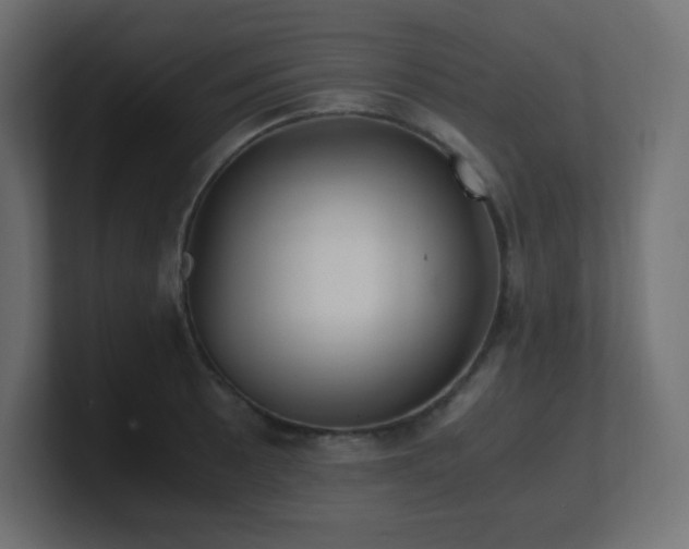 X0000100941089200806241422