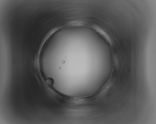 X0000100941090200806241422