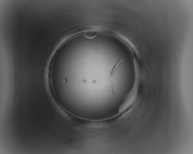 X0000100941091200806241422