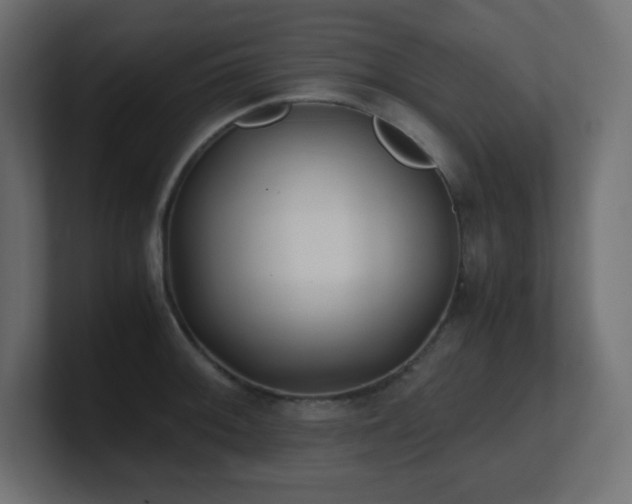 X0000100941092200806241422