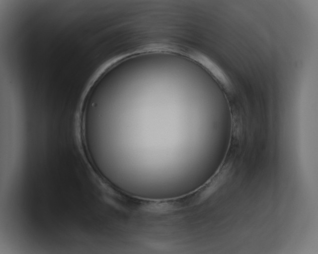 X0000100941094200806241422