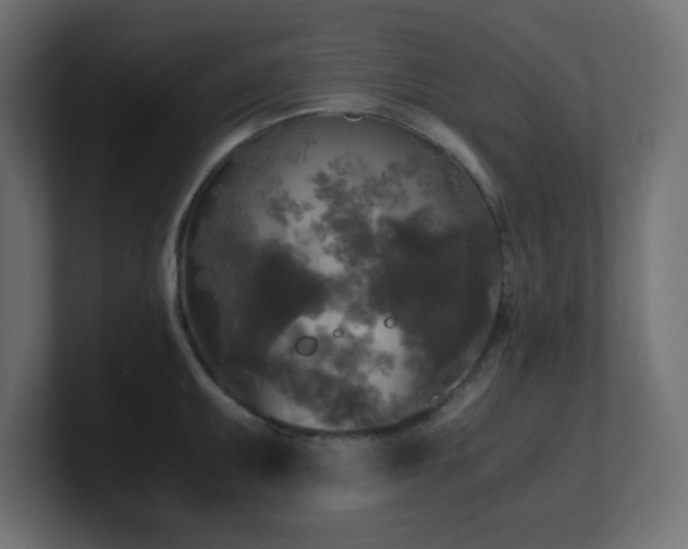 X0000100941095200806241422