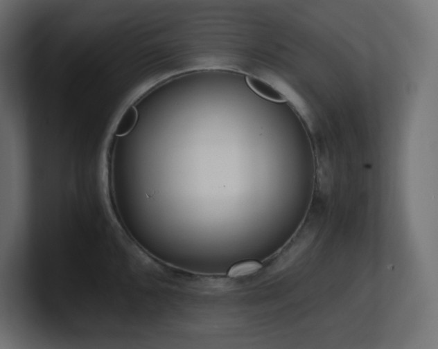 X0000100941096200806241422