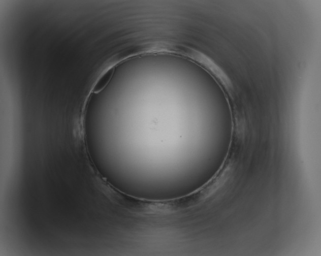 X0000100941097200806241422
