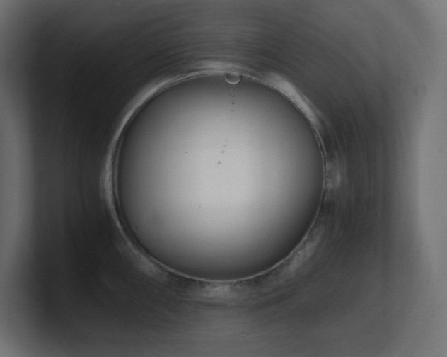X0000100941098200806241422