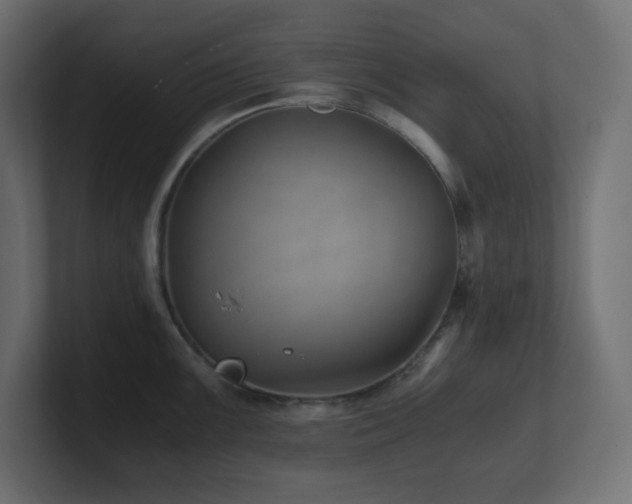 X0000100941099200806241422