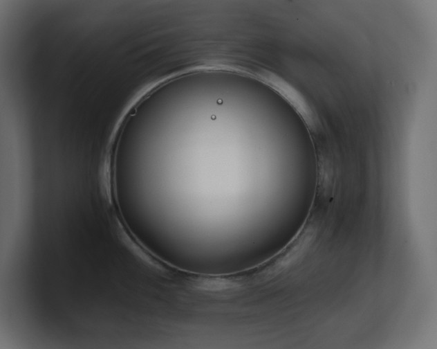 X0000100941100200806241422