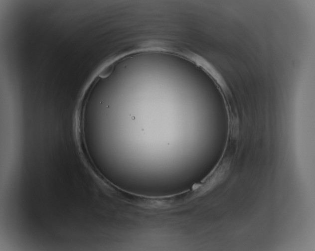X0000100941101200806241422