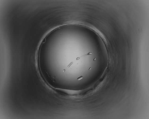 X0000100941102200806241422