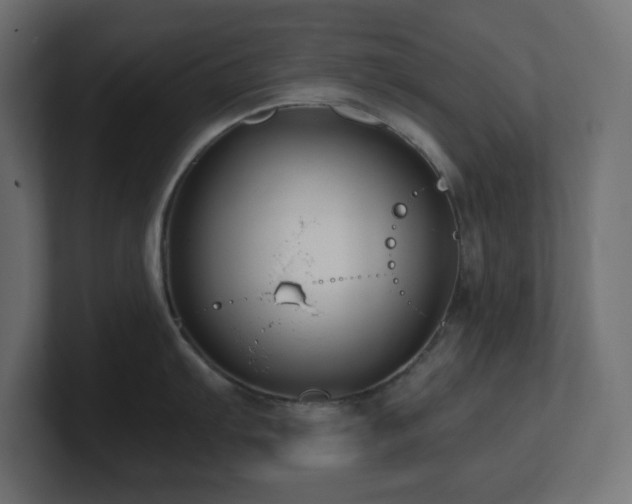 X0000100941103200806241422