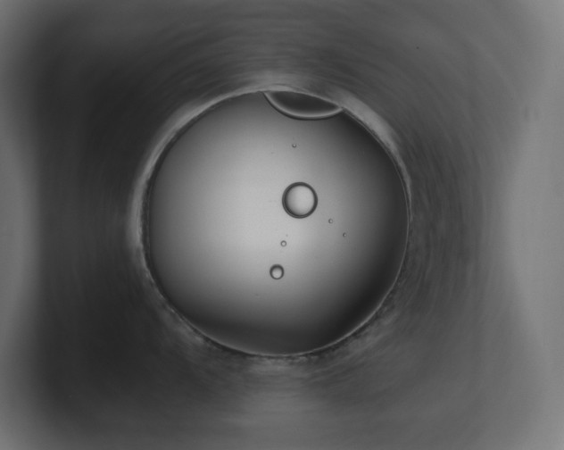 X0000100941104200806241422