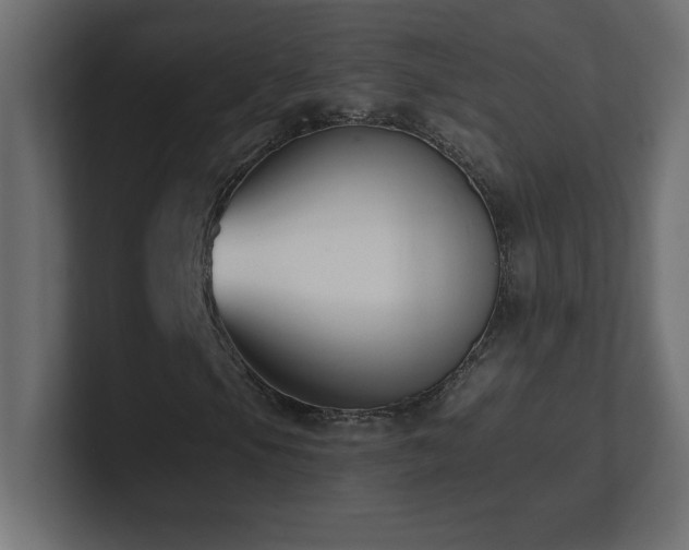 X0000100941105200806241421