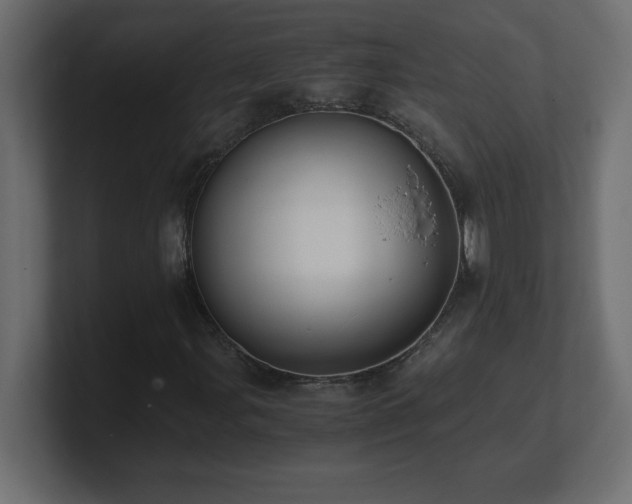 X0000100941107200806241421