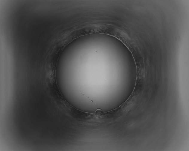 X0000100941109200806241421